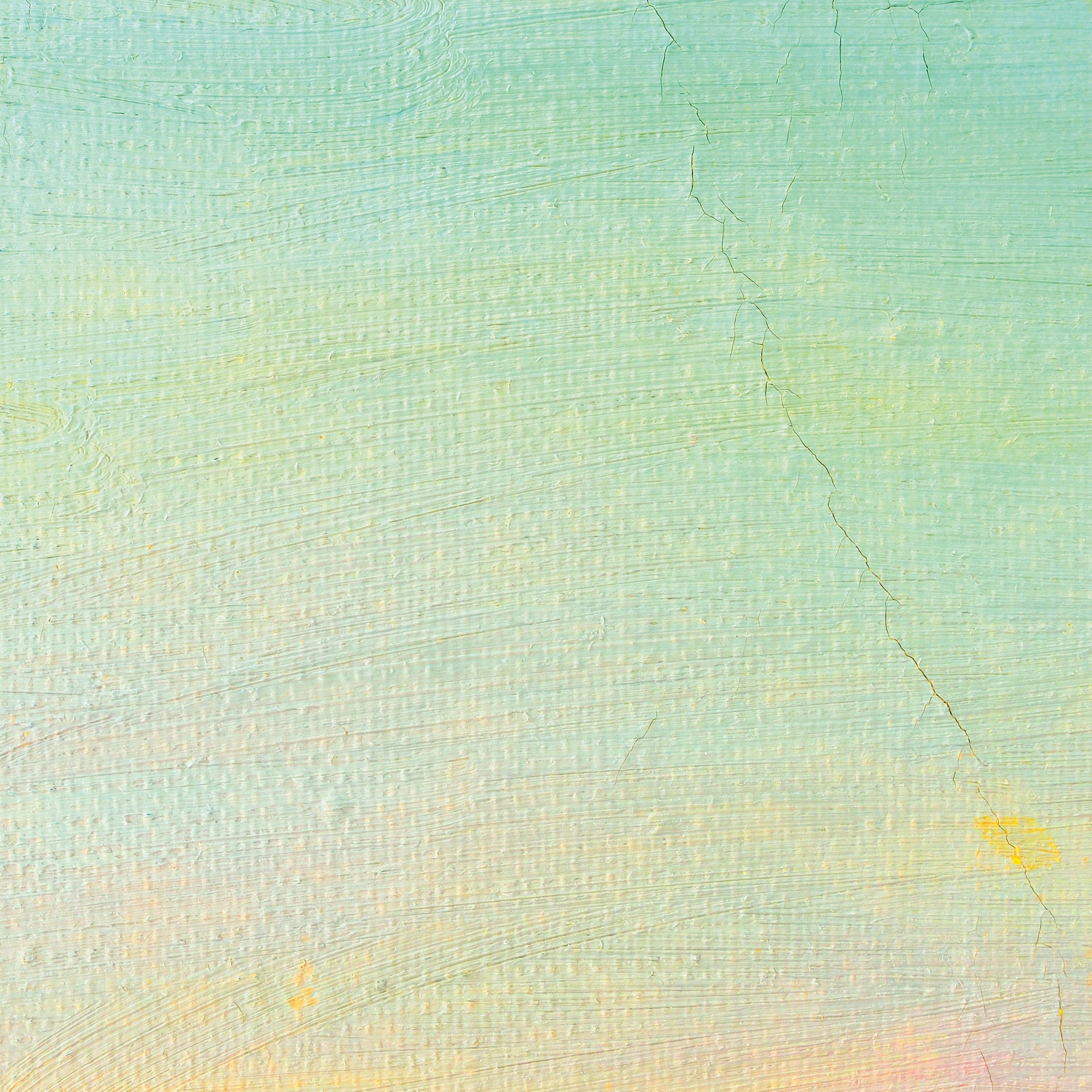 Textured oil paint canvas detail